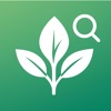 Plant Identification icon