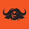 Safari Outdoor icon