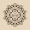 Alchemy with Taylor Sol icon