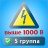 Get Электробезопасность тесты 5 гр for iOS, iPhone, iPad Aso Report