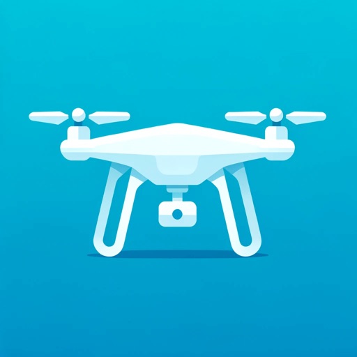 Drone Assist: Владельцу дрона