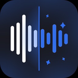 AI Audio Video Noise Reducer.