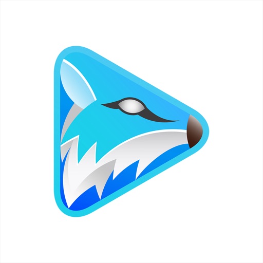 FoxFM - Offline Video Player iOS App