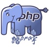 php$ - programming language icon