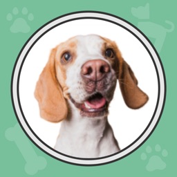Sifflet de Dressage de Chien