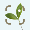 AI Plant Identifier Care guide - Ekaterina Krivtsova