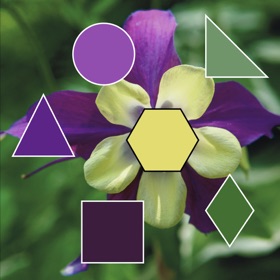 螢幕擷取畫面 (10) ColorHints Mosaic