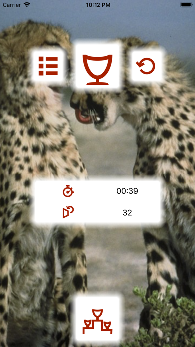 Animal Pexeso screenshot
