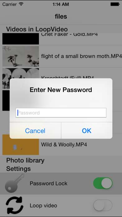 LoopVideoMINI screenshot