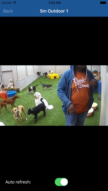 ODoggy screenshot-3