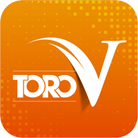 ToroVPartner logo