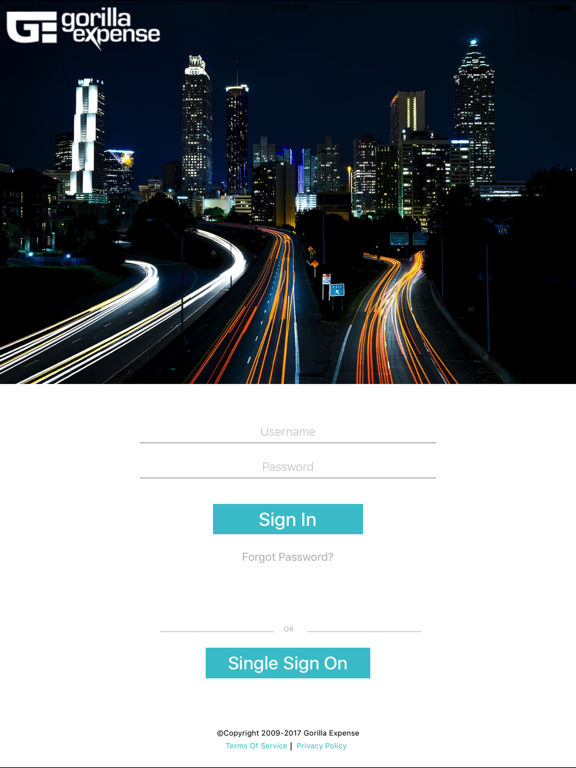 Screenshot #4 pour Gorilla Expense Pro