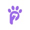 Pawlly revolutionizes the world of pet care services with its comprehensive and user-friendly platform