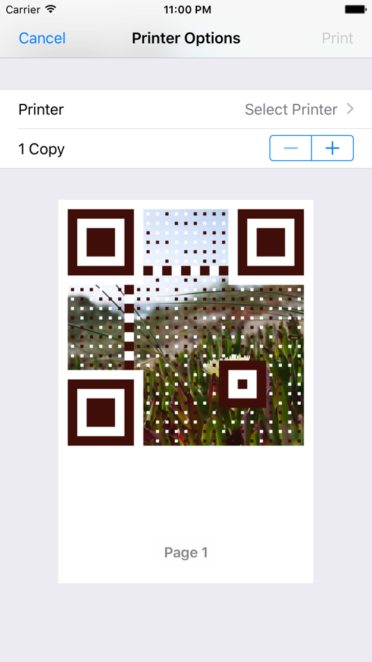 #5. QR Rabbit (iOS) 来自: Michal Ziman