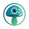 Mushroom Identifier - ShroomID icon