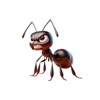 Angry Ant Stickers App Icon