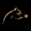 Global Champions Arabians Tour icon