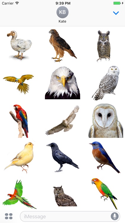 Flock of Birds Stickers