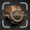 Fossil AI: Fossil Identifier icon