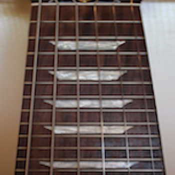 Electric Guitar Fretboard Lite