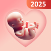 Pregnancy Tracker & Calculator - Hassan Ali Rafaqat