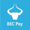 BEC Pay - BFC GROUP HOLDINGS WLL