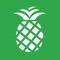 PineApp