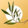 Devocional Diário | Bíbliaon icon