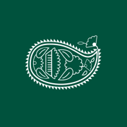 Õsma