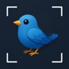 Bird Identifier - Snap Bird icon
