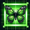 Bug identifier?Insect Scanner icon