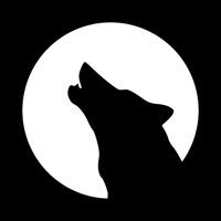 DJ Lobo app icon - Music app for iPhone