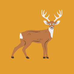 ‎Deer Sounds & Calls