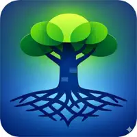 FinanceForest: Portfolio