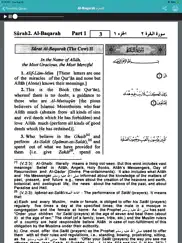 the holy quran english айпад изображения 3