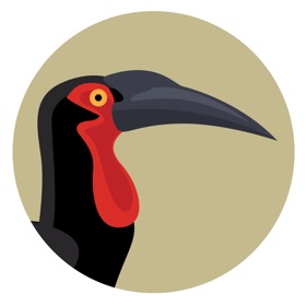 螢幕擷取畫面 (8) BirdPro