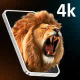 Arwa Wallpaper - App-Symbol
