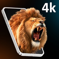 Arwa Wallpaper app icon - Lifestyle app for iPhone