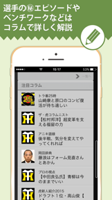 阪神Vデイリー screenshot
