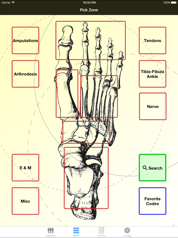 Mobile Coder Foot & Ankle iPad screenshot 1 - Medical app
