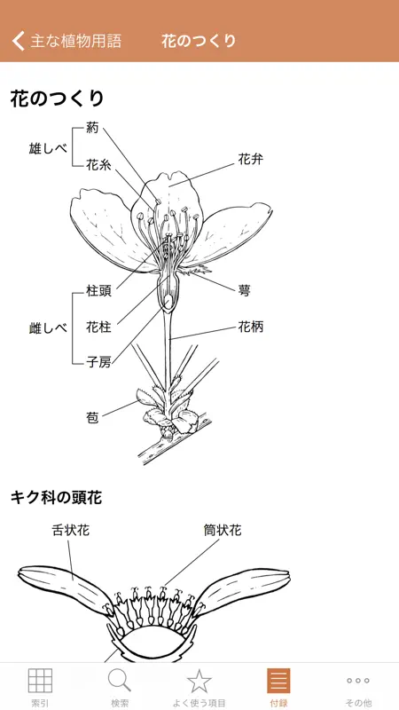 野に咲く花（山溪ハンディ図鑑） screenshot 5 of 5