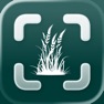 Get Grass Identifier: Meadlens for iOS, iPhone, iPad Aso Report