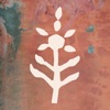 Kantha Bae Live icon