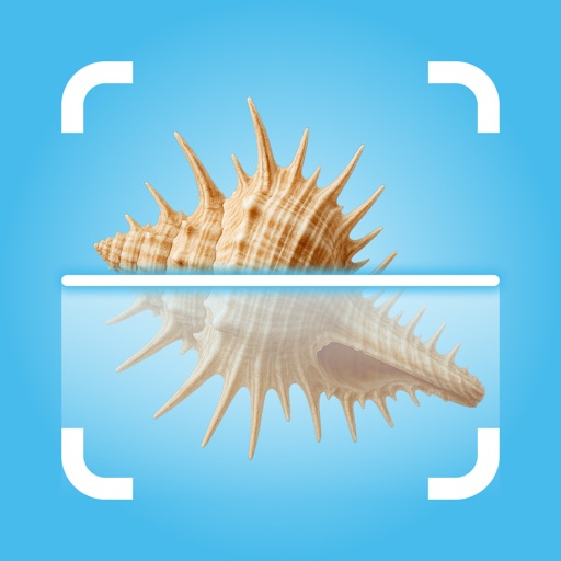 Sea Shell Identifier: Scan AI