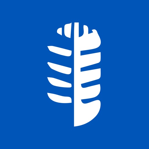 Inspigo Learning Experience