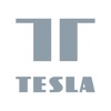 TESLA Smart icon
