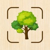 Wood Identifier: Tree & Plant icon