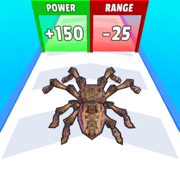 Spider Evolution