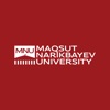 Smart MNU icon