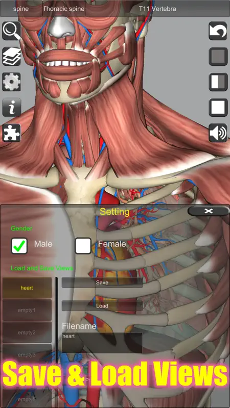 3D Anatomy screenshot 4 of 10